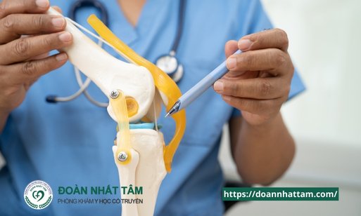 Cứng Khớp Gối Dấu Hiệu Cảnh Báo và Phương Pháp Khắc Phục Tối Ưu (3) Cứng Khớp Gối Dấu Hiệu Cảnh Báo và Phương Pháp Khắc Phục Tối Ưu (3)