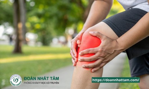 Đau Khớp Gối Nguyên Nhân, Triệu Chứng và Cách Điều Trị Hiệu Quả (3) Đau Khớp Gối Nguyên Nhân, Triệu Chứng và Cách Điều Trị Hiệu Quả (3)